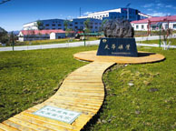洛阳天华矿业集团